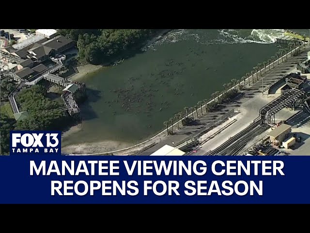 ⁣Manatee Viewing Center reopens