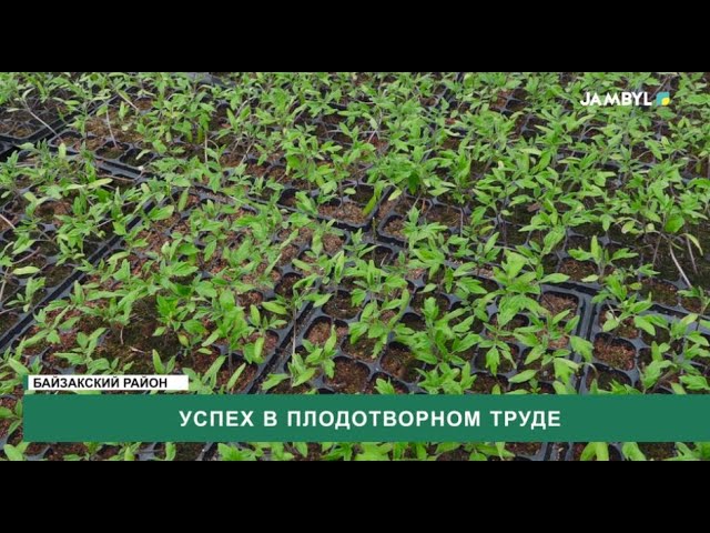 Успех в плодотворном труде