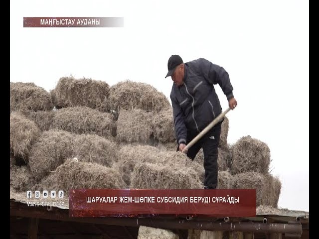 Шаруалар жем-шөпке субсидия беруді сұрайды