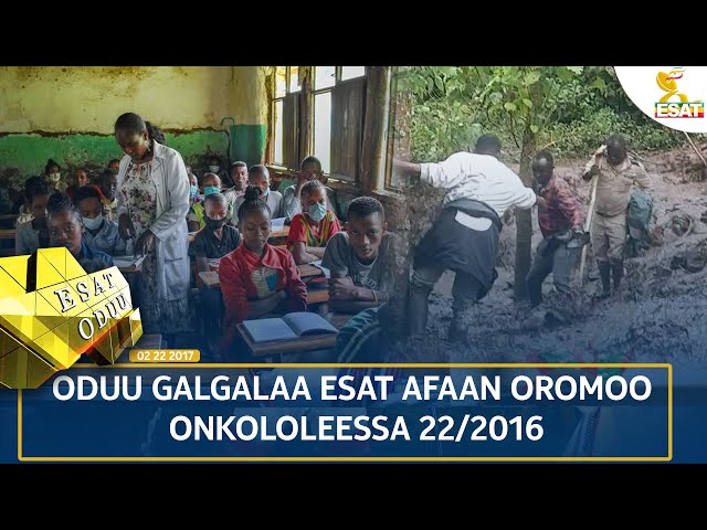 ⁣Ethiopia - ESAT ODUU 01 NOVEMBER 2024