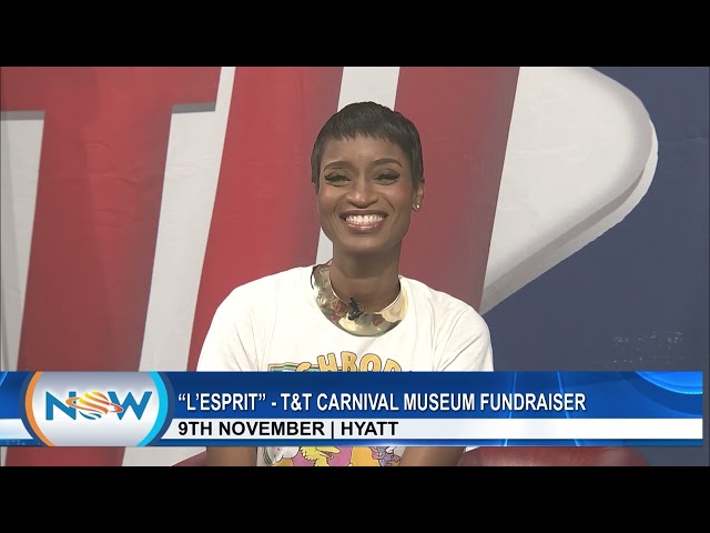 ⁣"L Esprit" - T&T Carnival Museum Fundraiser