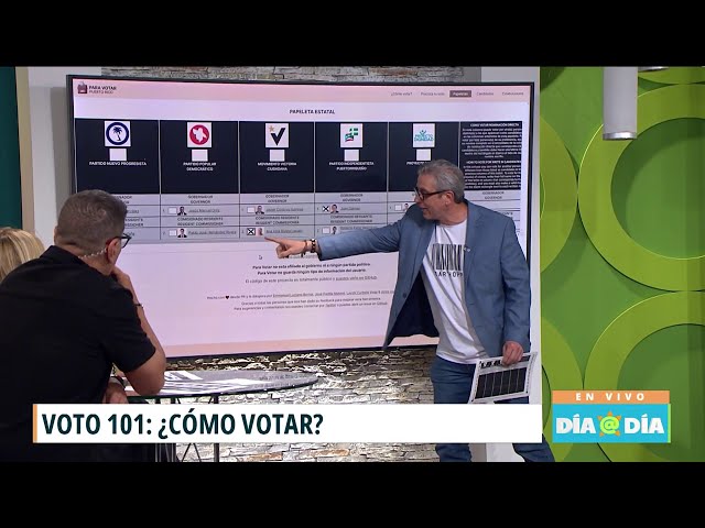 ⁣Paso a paso: conoce las distintas maneras de votar