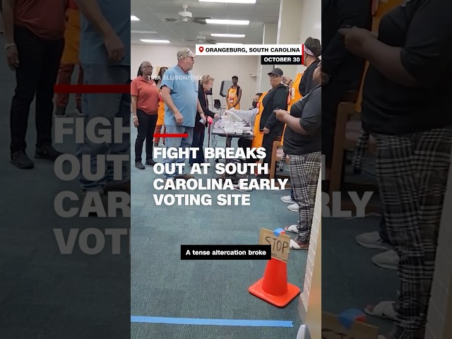 ⁣Video shows altercation at a South Carolina polling site