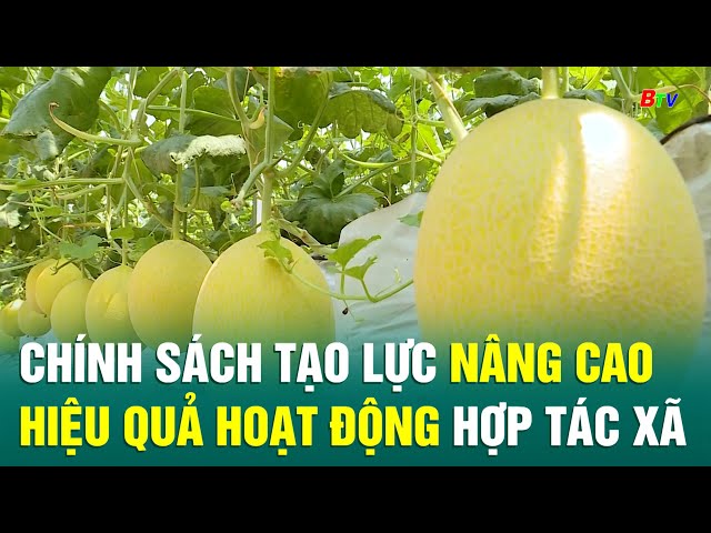 ⁣Chính sách tạo lực nâng cao hiệu quả hoạt động hợp tác xã