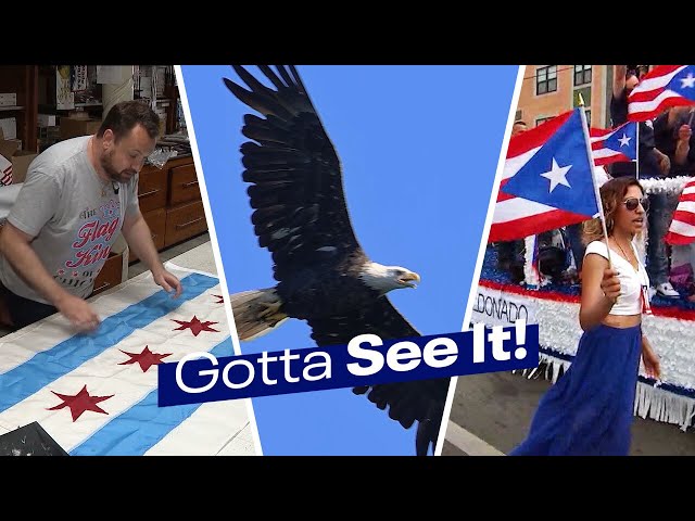 Gotta See It: Feathers and flags