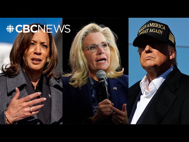 ⁣Harris condemns Trump for personal attack on Liz Cheney