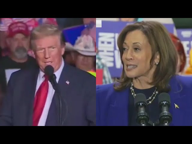 ⁣Trump, Harris hold dueling rallies in Milwaukee as celebrity endorsements grow