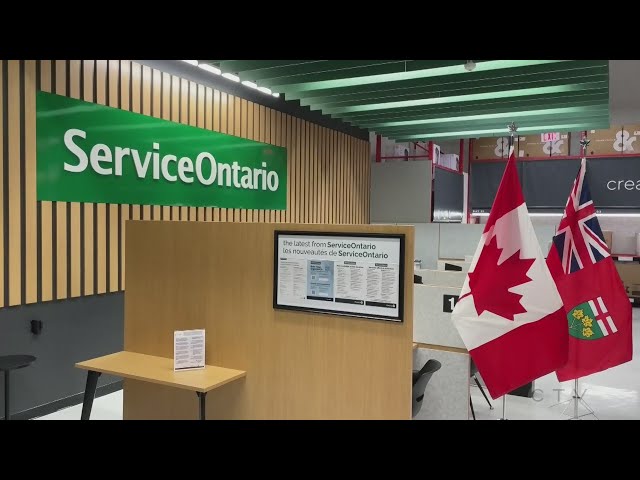 ⁣ServiceOntario employees allegedly behind massive auto theft ring, police say