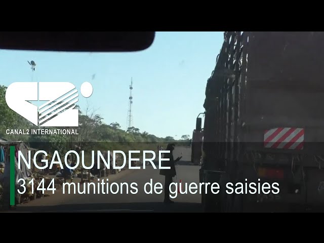 ⁣NGAOUNDERE : 3144 munitions de guerre saisies