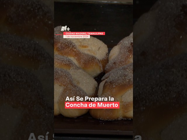 ⁣Así se prepara la Concha de Muerto - N+ #Shorts