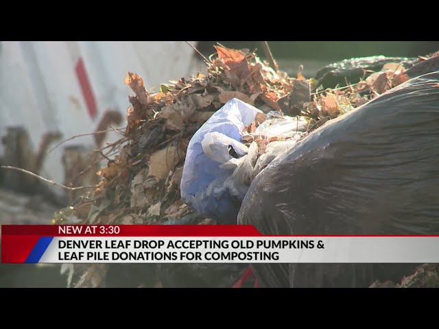 ⁣Denver announces drop-off locations for old pumpkins, leaf piles