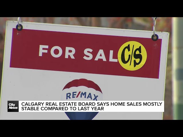 ⁣Calgary Real Estate Board says home sales mostly stable compared to last year