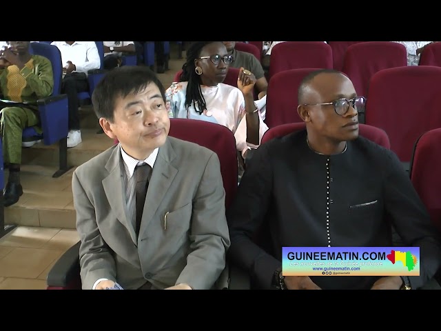 ⁣Artisanat en Guinée : le constat alarmant fait par SEM Kato Ryuichi, ambassadeur du Japon en Guinée