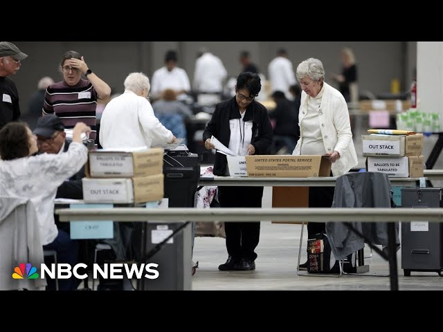 ⁣New focus on poll watchers as some 2020 election deniers train for roles