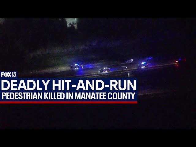 ⁣Search underway for driver in deadly hit-and-run