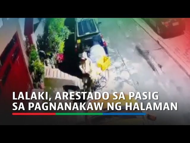 ⁣Lalaki, arestado sa Pasig sa pagnanakaw ng halaman na ibebenta umano para sa Undas | ABS-CBN News