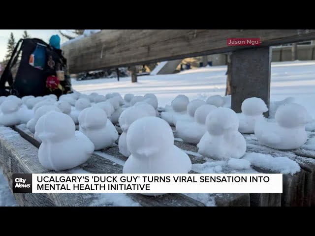 ⁣UCalgary's 'Duck Guy' turns viral sensation into mental health initiative