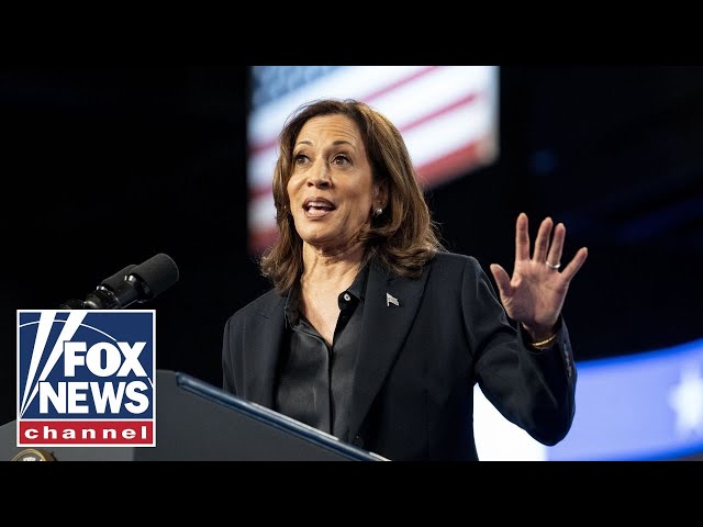 ⁣LIVE: VP Harris speaks at a rally in Wisconsin