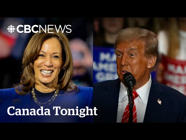 ⁣How content creators are helping Trump, Harris court Gen Z voters | Canada Tonight