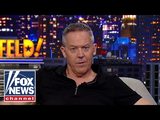 ⁣Gutfeld fires off his best election zingers