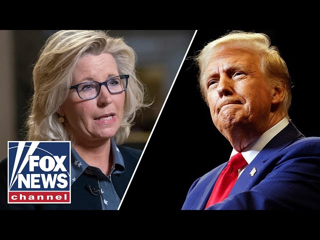 ⁣Trump calls out 'media hoax' over Liz Cheney: 'Beyond fake news'