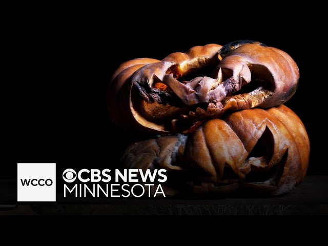 ⁣Minnesota town starts new pumpkin smashing tradition