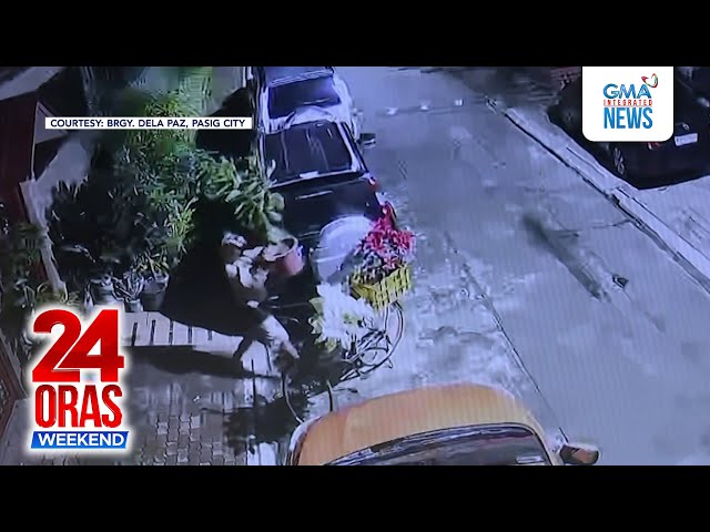 ⁣25-anyos na lalaki, arestado matapos magnakaw ng mga halaman | 24 Oras Weekend