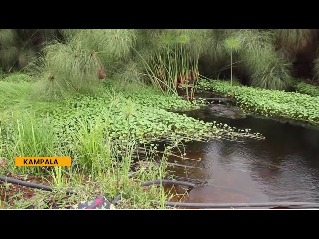 ⁣Government solicits for collaboration in the struggle to protect wetlands countrywide.