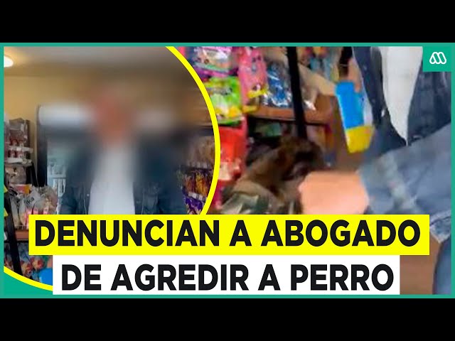 ⁣"Llévate a tu perro, ridícula": Denuncian a abogado de agredir a mascota en minimarket