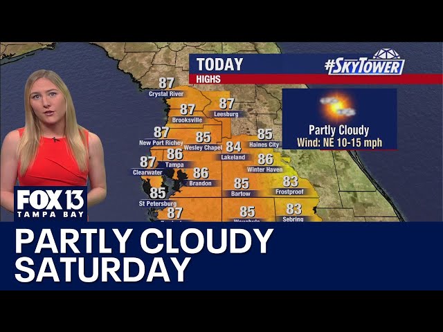 ⁣Tampa weather: Partly Cloudy Saturday