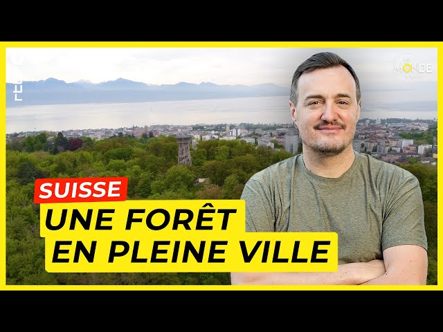 ⁣Lausanne : une forêt en pleine ville suisse parmi les plus vertes au monde - Un Monde à part