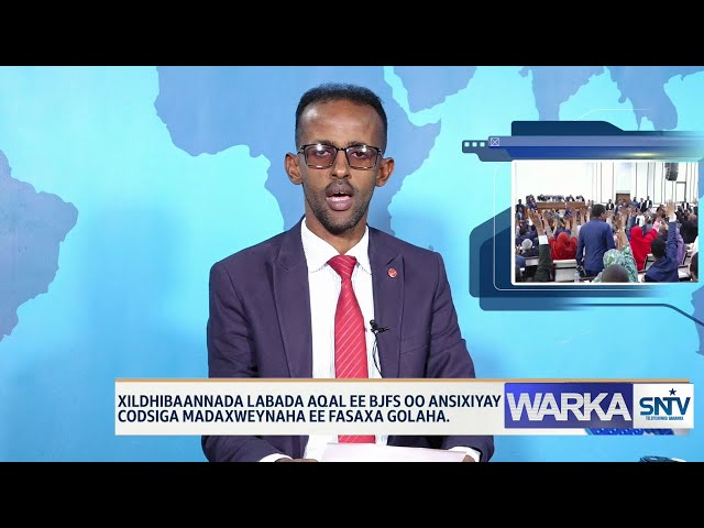 ⁣WARKA HABEEN EE SNTV 02.11.2024