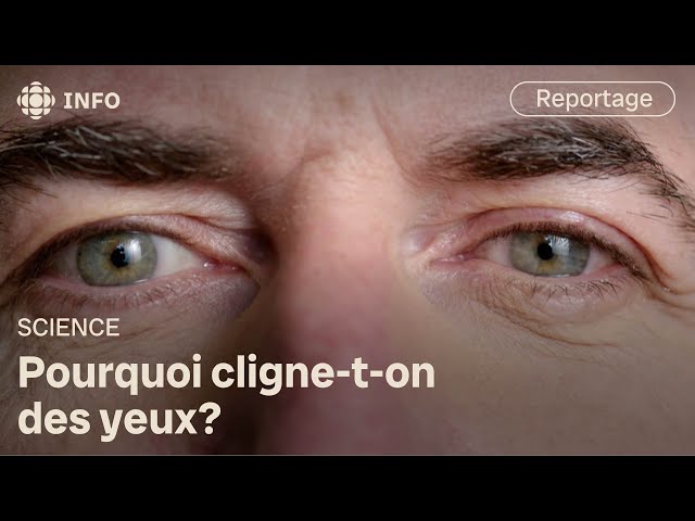 ⁣À quoi sert le clignement des yeux? | Découverte