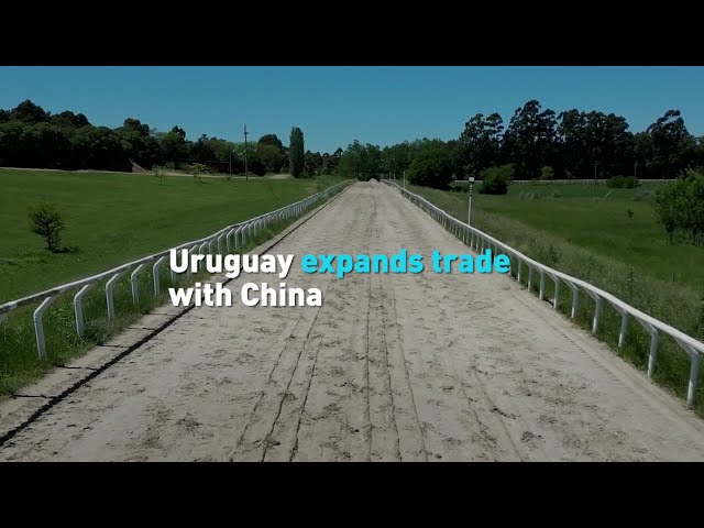 ⁣Uruguay expands trade with China