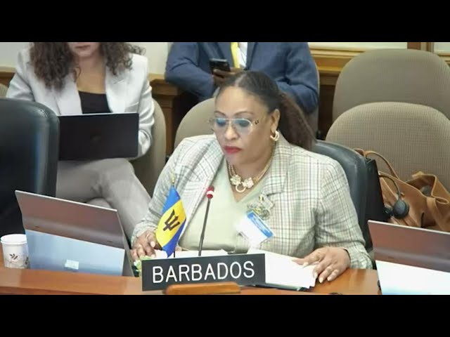 ⁣Member states urged to strengthen resources of OAS