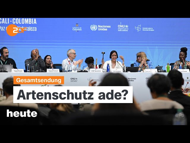 ⁣heute 19 Uhr vom 02.11.24 Weltnaturkonferenz endet, Flutkatastrophe in Spanien, VW-Standorte bedroht