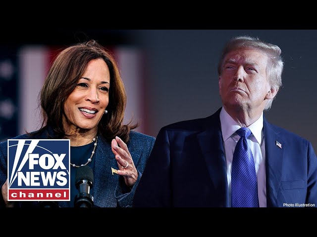 ⁣‘GAME OF INCHES’: Trump, Harris deadlocked in national polls