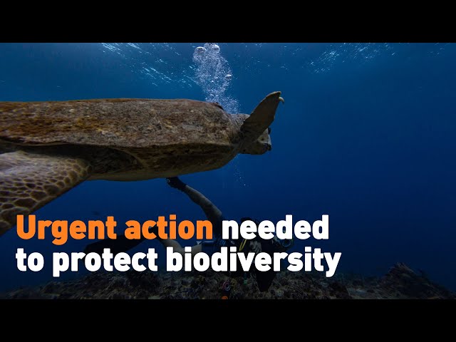 ⁣Urgent action needed to protect biodiversity