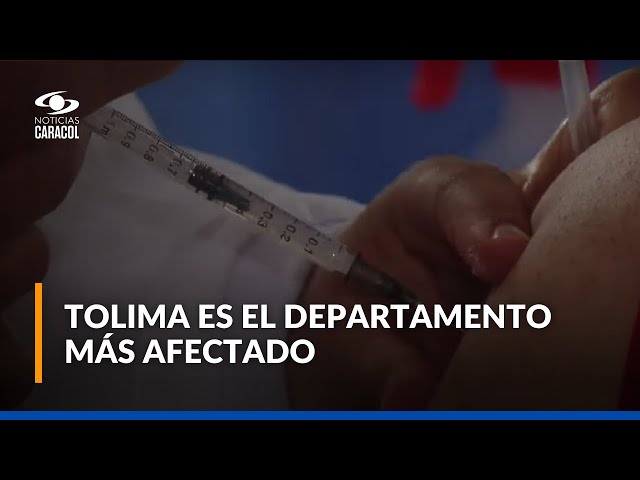 ⁣Alerta en Colombia por aumento de casos de fiebre amarilla: expertos entregan recomendaciones