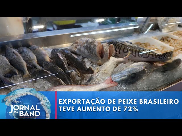 ⁣Exportação de peixe brasileiro teve aumento de 72% | Jornal da Band