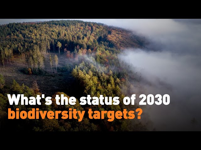 ⁣What's the status of the 2030 biodiversity targets?