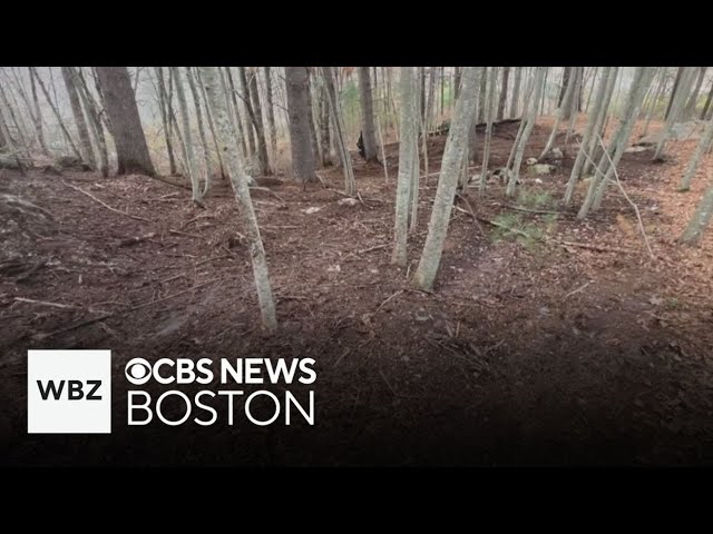 ⁣Boston man arrested after running away from brush fire in Milford