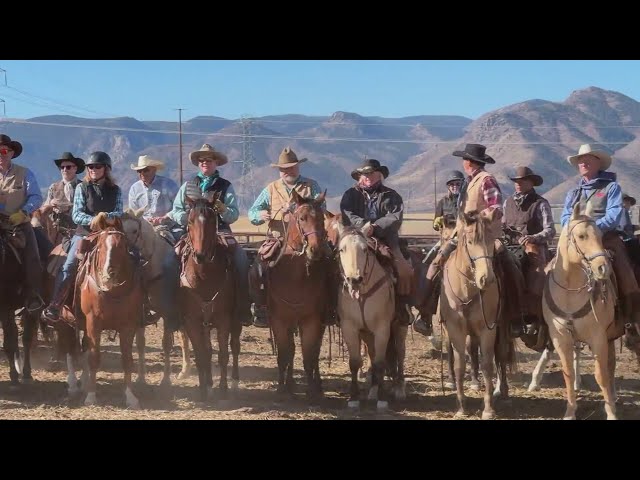 ⁣Sterling Ranch uses cattle to protect homes as working cattle ranch