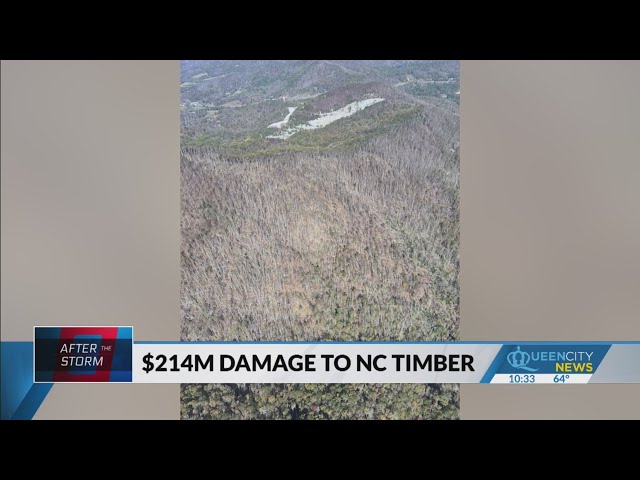 ⁣$214M in timber damage from Helene, NC Forest’s aerial assessment concludes