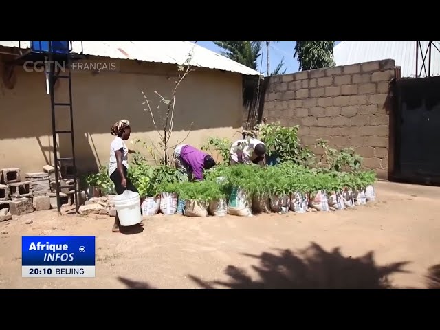 ⁣Nigeria : des citadins adoptent de nouvelles méthodes pour accroître la production alimentaire