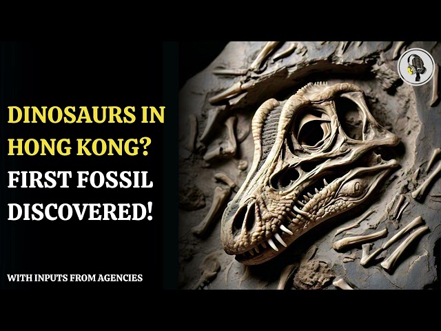 ⁣Dinosaurs In Hong Kong  First Fossil Discovered! | WION Podcast