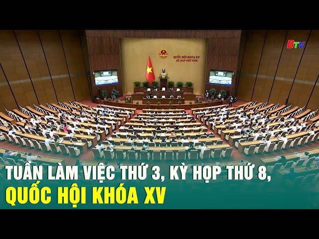 ⁣Tuần làm việc thứ 3, Kỳ họp thứ 8, Quốc hội khóa XV