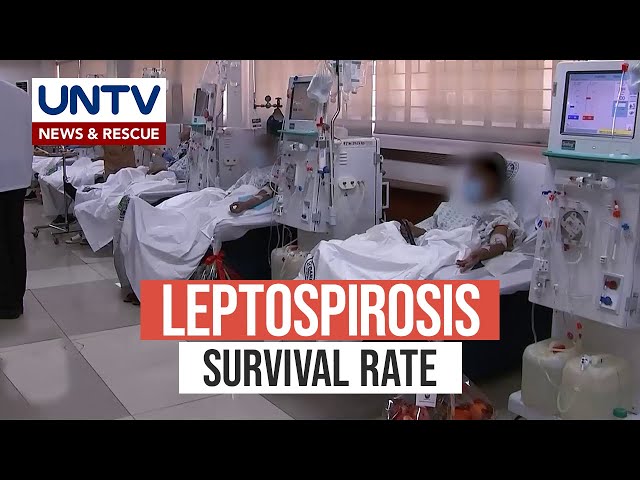 ⁣Ano ang survival rate ng Leptospirosis?