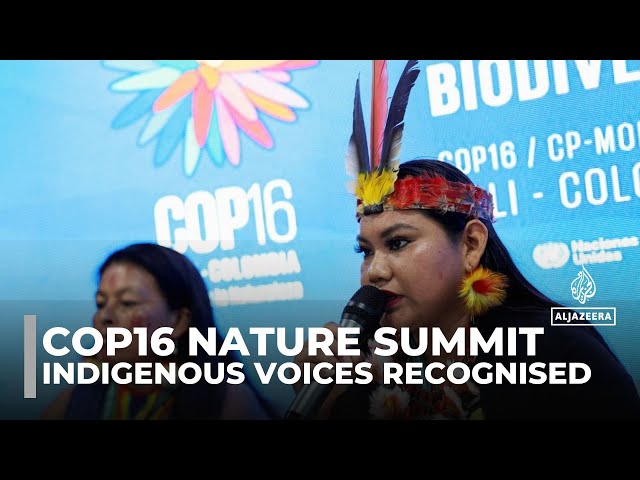 ⁣COP16 biodiversity summit signs agreement to grant Indigenous groups a permanent voice