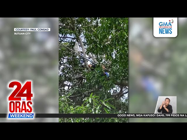 ⁣Babaeng namimitas ng mangga, patay nang madikit sa kawad ang kanyang panungkit | 24 Oras Weekend